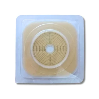 base 60 bao health